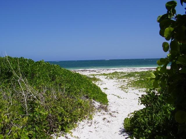 Beach in Malindi