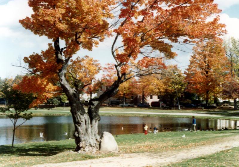 Lake park in Concord, NH