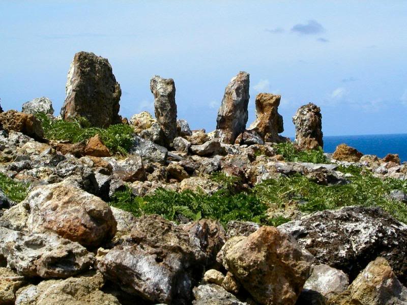 Marae at Necker Aug 02