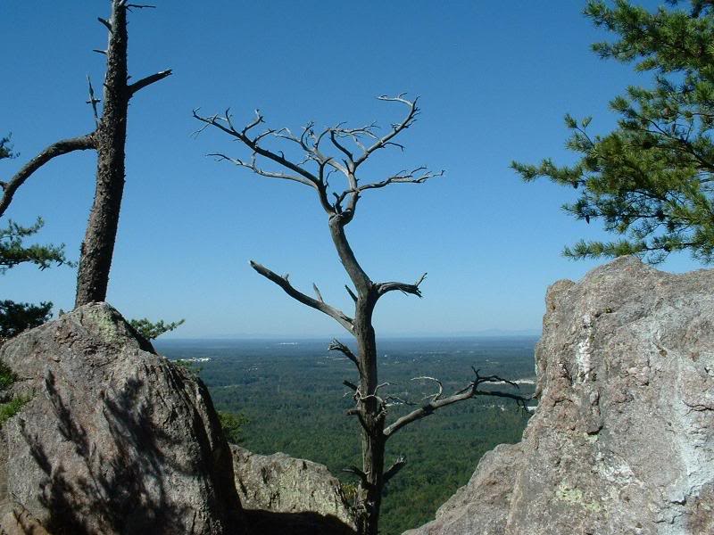 Atop Crowders Mountain