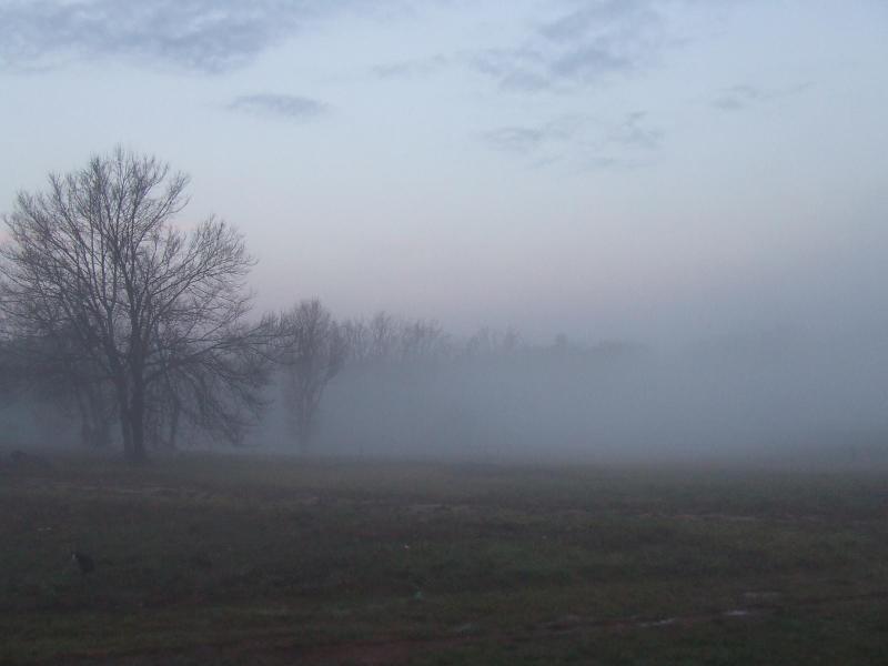 Foggy morning
