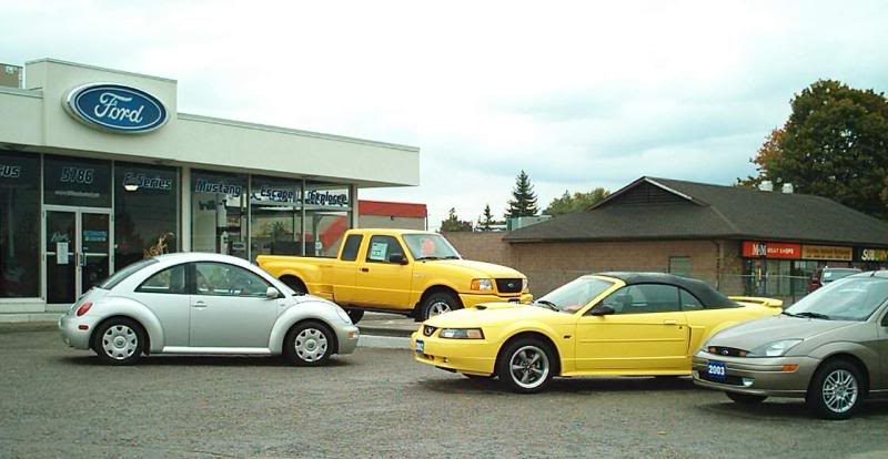 Beetle at Houston Ford