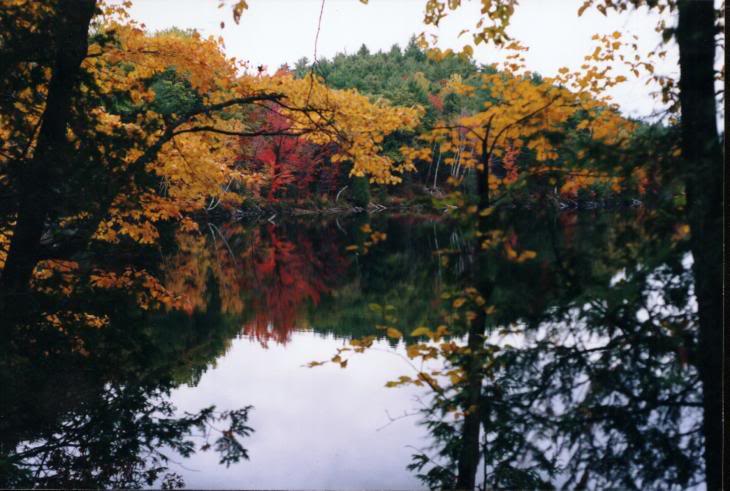Mazinaw Pond 2