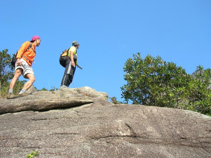 �M������