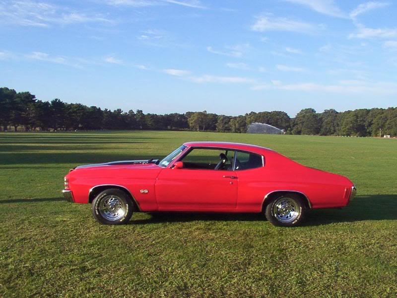 Pics at Bethpage State Park 031