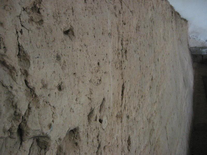 ���n�����\�r ~