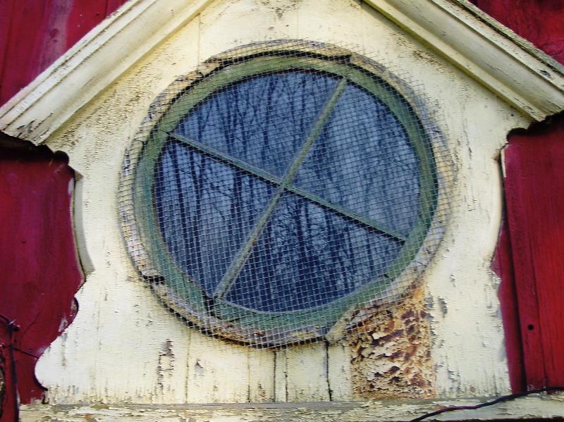 see winter tree reflection in circular window