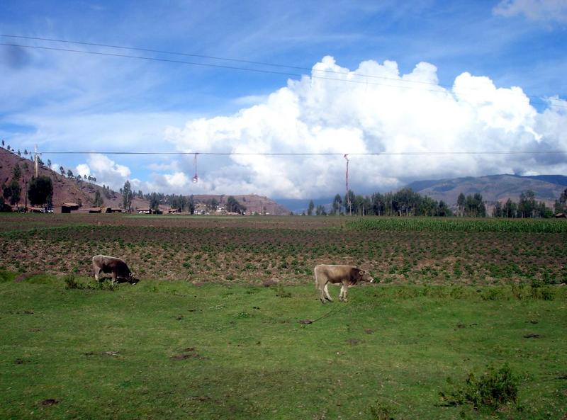 Still in the "Pampa de Anta" comfortably traveling. 07:...