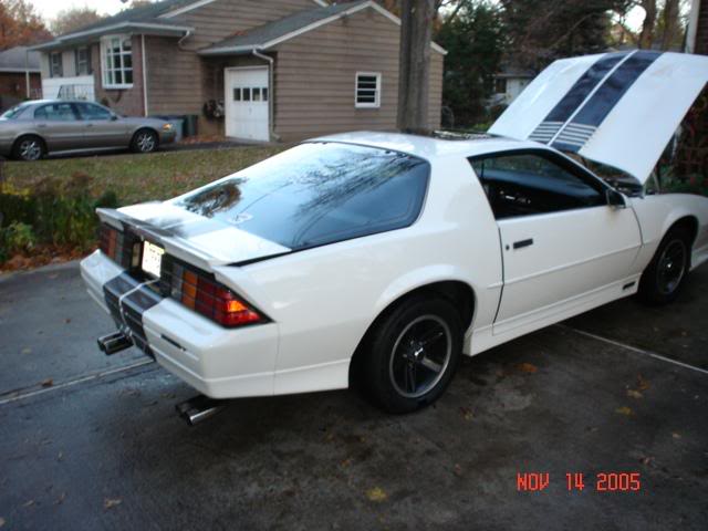 camaros back 002