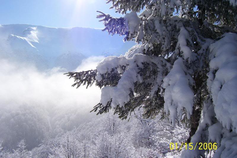 Winter, Bulgaria by Kremena