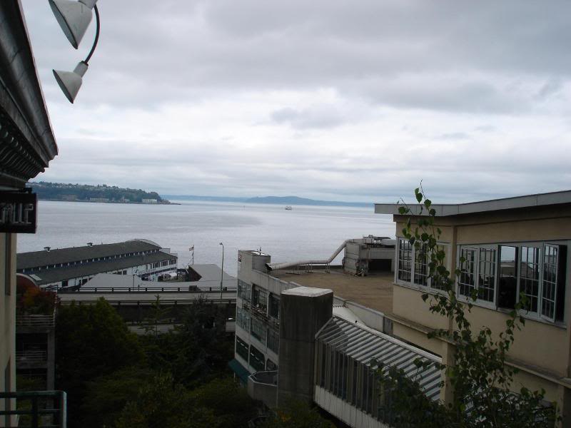 Copy (2) of DSC00154 View of Pugent Sound Seattle