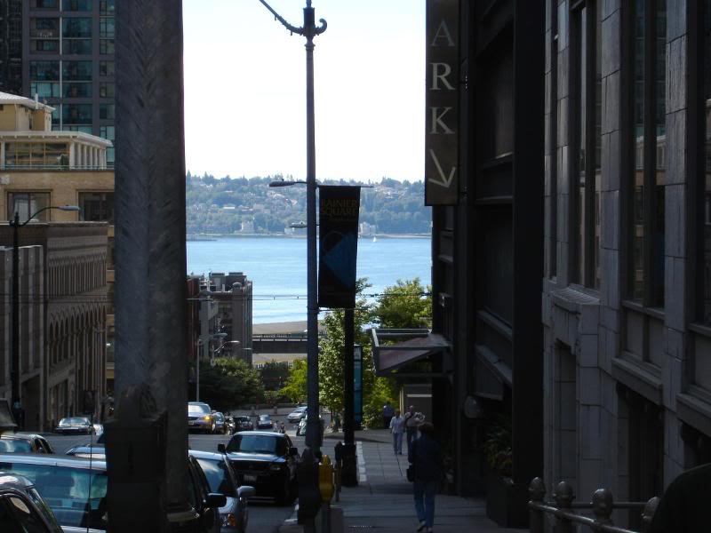 Copy (2) of DSC00159 View Pugent's Sound walking towar...