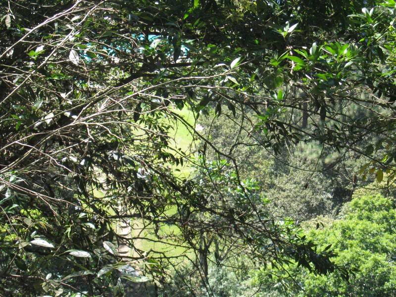 A_SanRam�n_LasM usas-4