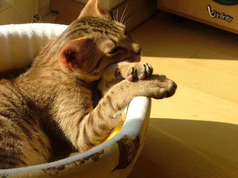 Harski thinking about meaning of life