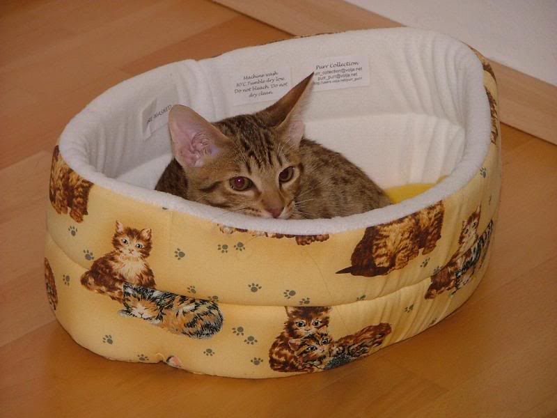 Purr purr colection:)