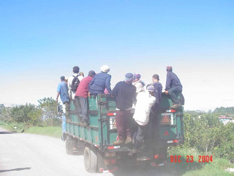 H_StoTom�s_caf� -2