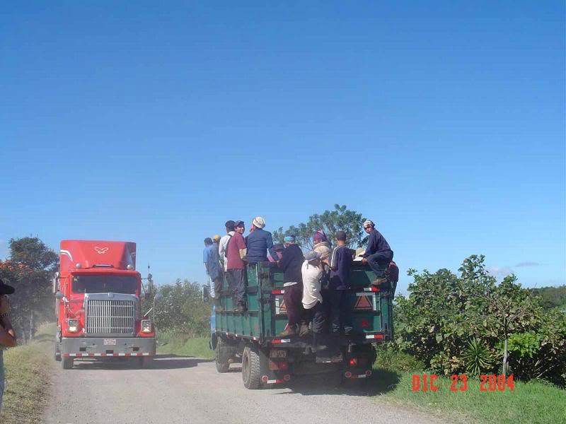 H_StoTom�s_caf� -3