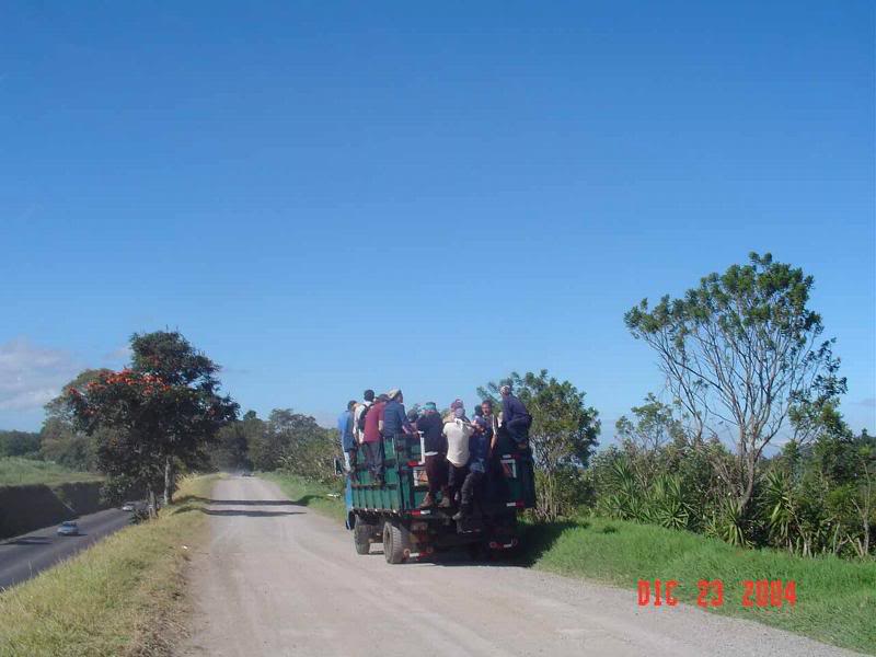 H_StoTom�s_caf� -4