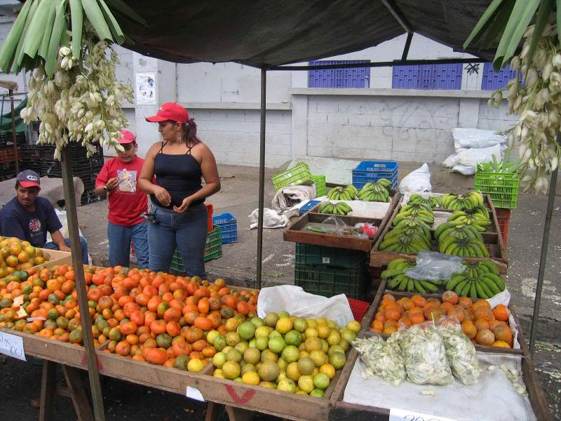 SJ-5-Tib�s-Nara njera