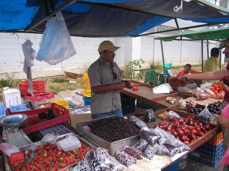 SJ-6-Tib�s-More ro