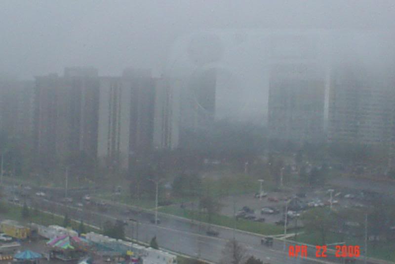 Looking across Dixie Rd in the mist