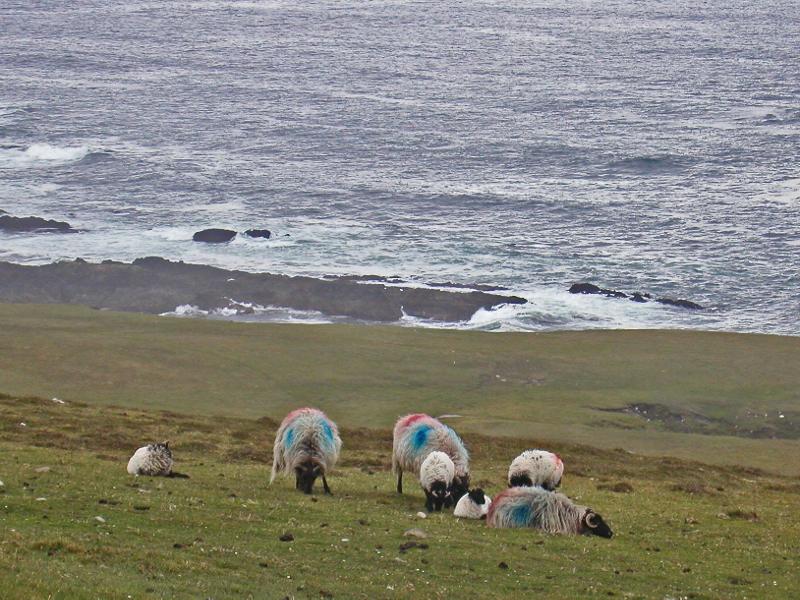 Sligo May 24 30 (Achill Island 2)