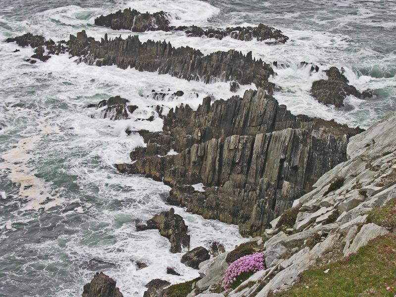 Sligo May 24 33 (Achill Island)