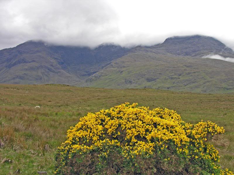 Sligo May 24 52 (Croagh Patrick)