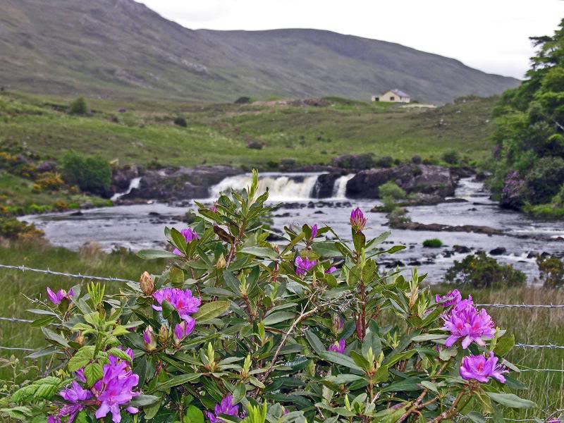 Sligo May 24 58 (Aasleagh Falls)