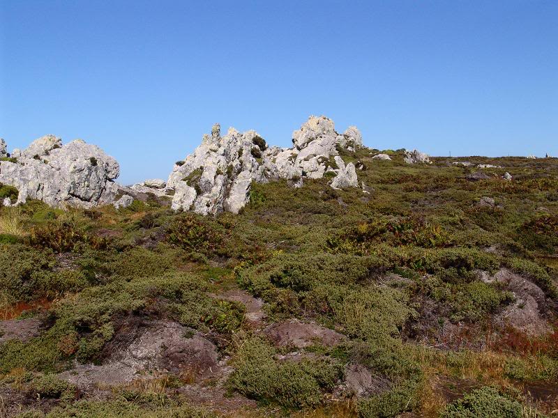 Falkland Islands 002