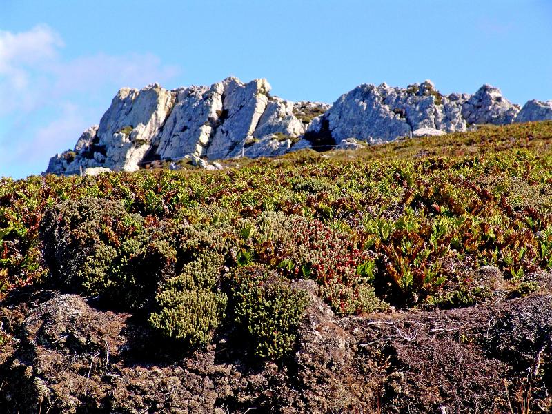 Falkland Islands 003