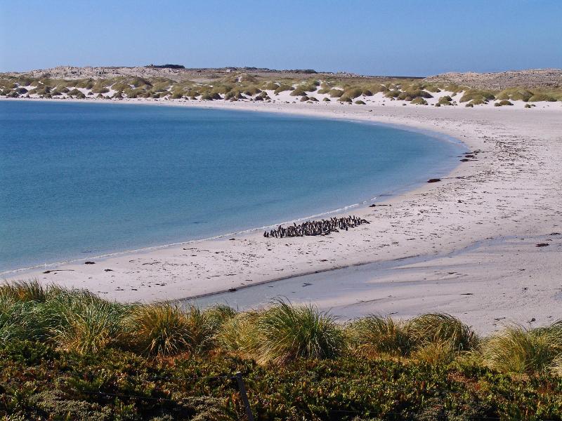 Falkland Islands 006