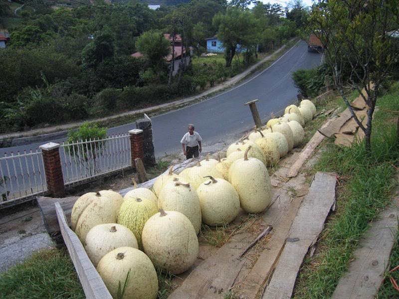 A_Zarcero_2_chi verres