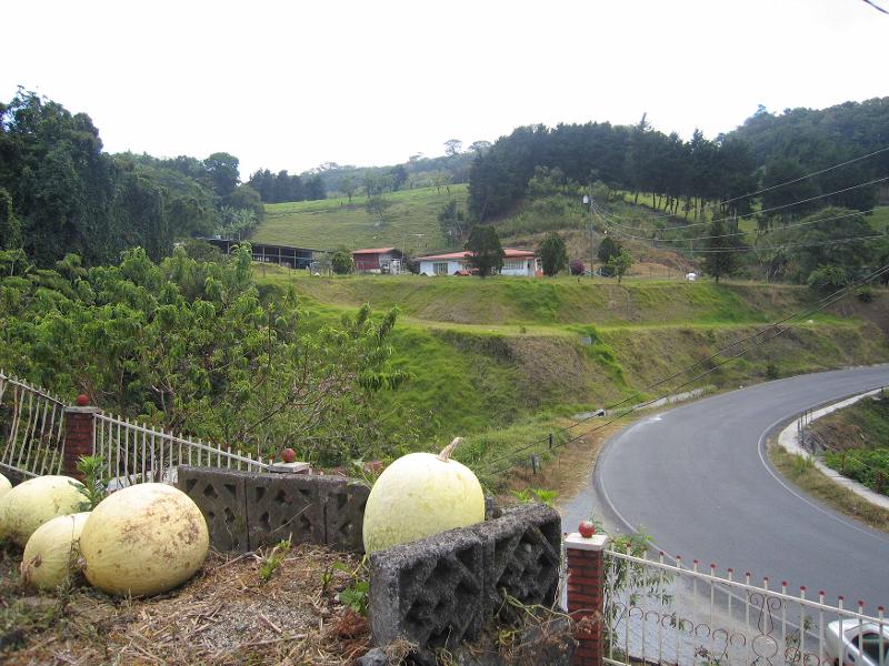 A_Zarcero_3_chi verres