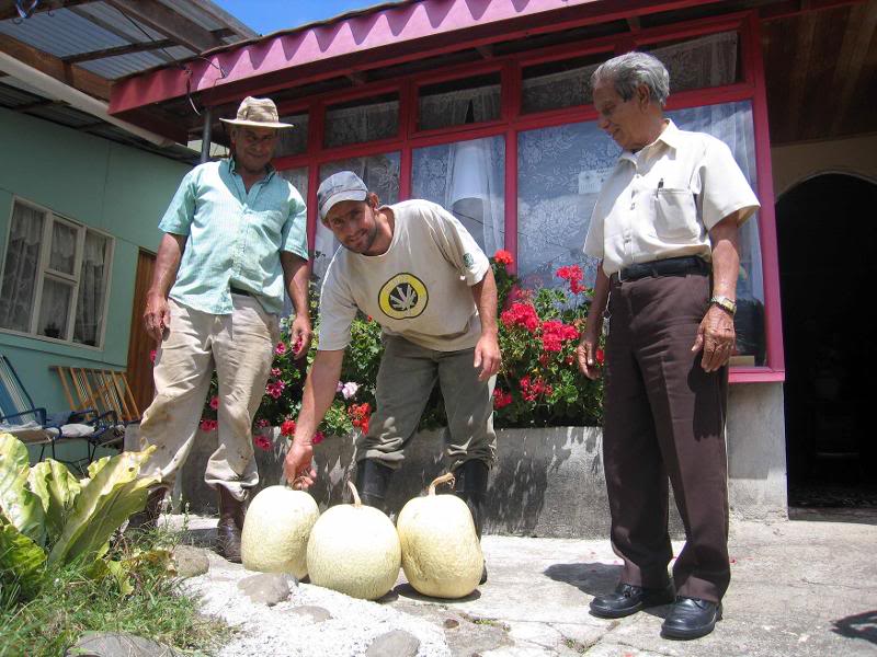 A_Zarcero_8_Aba rcas-y-Guzm�n