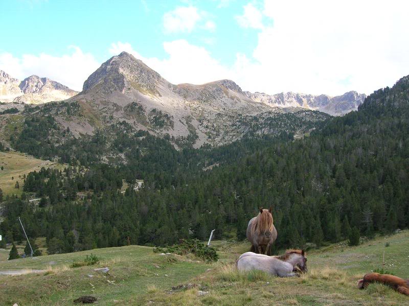 andorra2005104