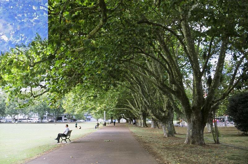 Victoria Park - Auckland