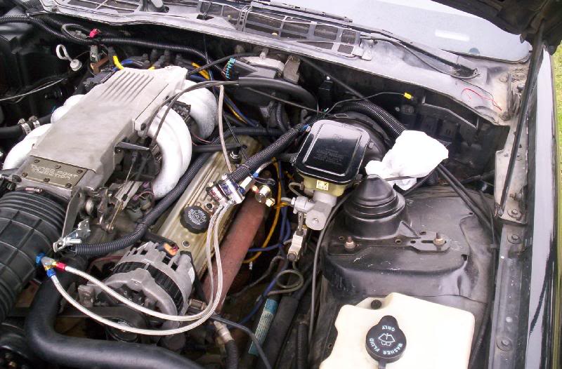 wires all wire-loomed up