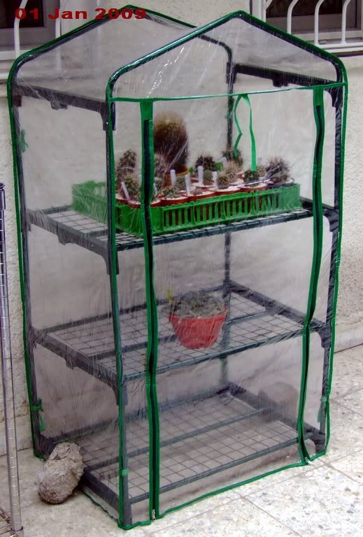 Mini cold greenhouse for Sclero- & Pediocacti