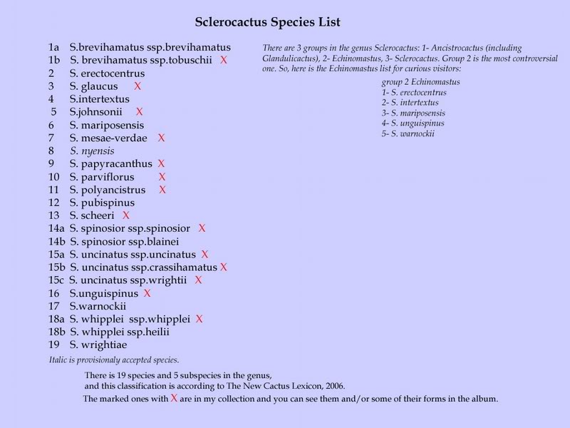 Sclerocactus Species List
