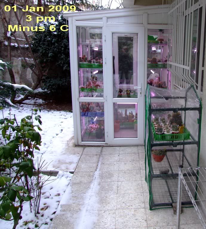 Serre & Mini cold greenhouse & Snow