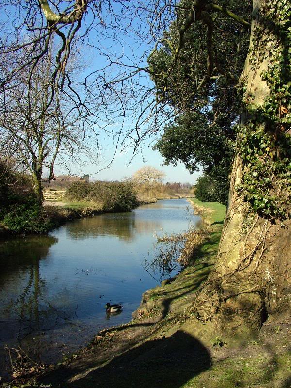 One of the drainage ditches of Sandwich