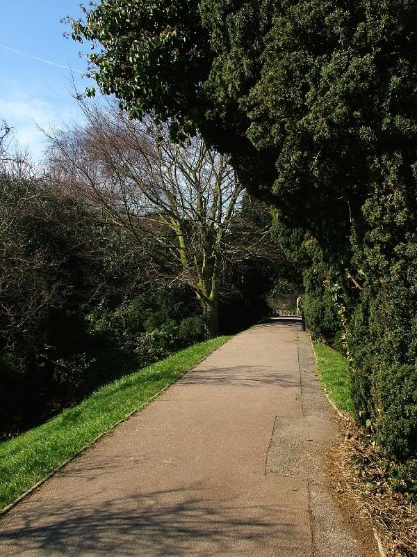 Part of the Mill Wall