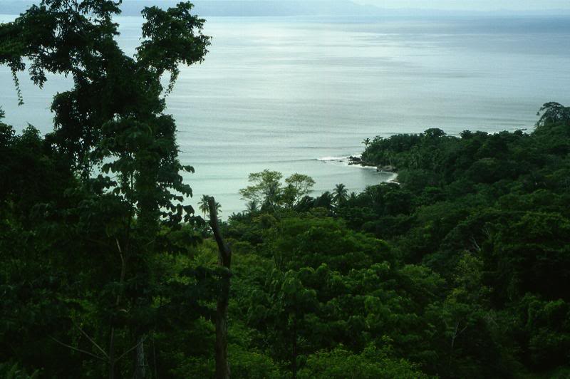 Costa Rica - Peninsula de Osa
