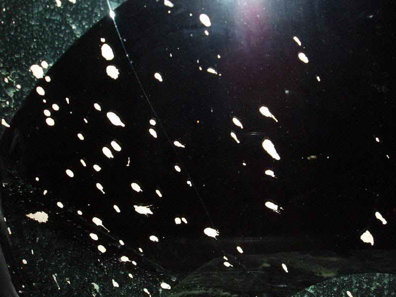 the INSIDE of my windshield