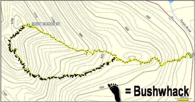 burnt meadow mt 032506