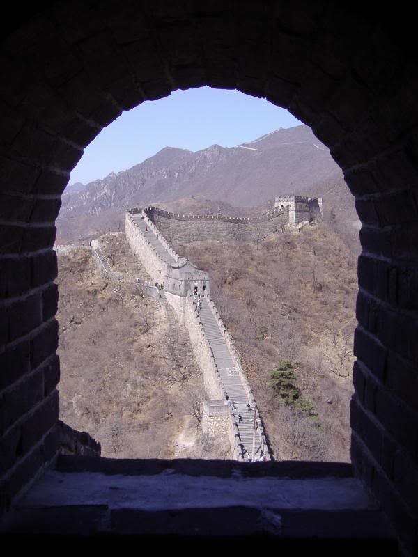 Not too shabby if I say so myself