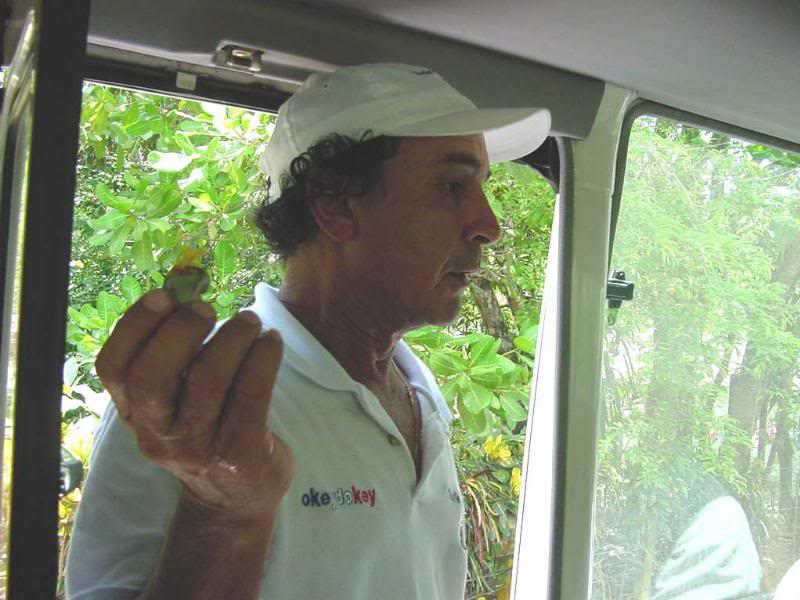 Charlie Soto and a wild cashew