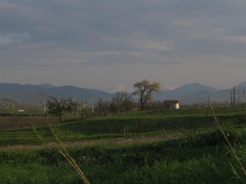 Fagarasul la iesirea din Curtea de Arges