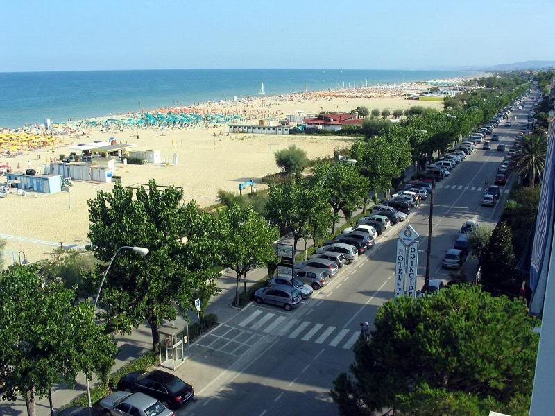 sea , beach and pine forest - Italian sea